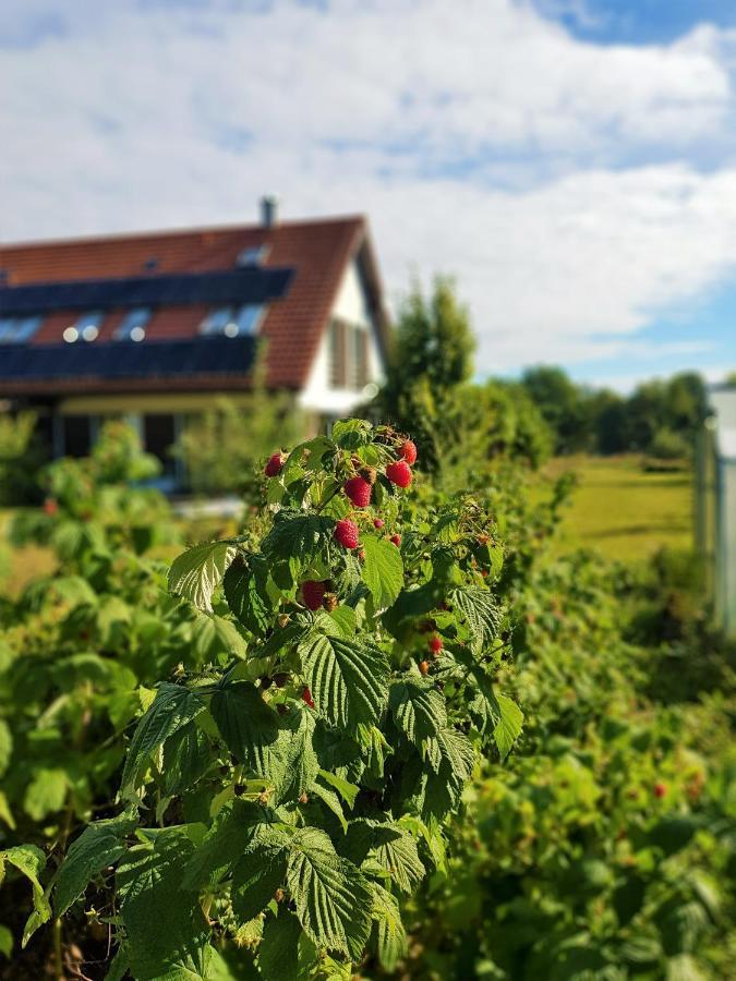 Siedlisko Gregorowo Privatunterkunft